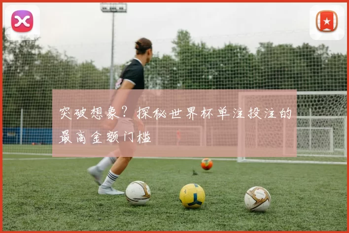 突破想象?探秘世界杯单注投注的最高金额门槛
