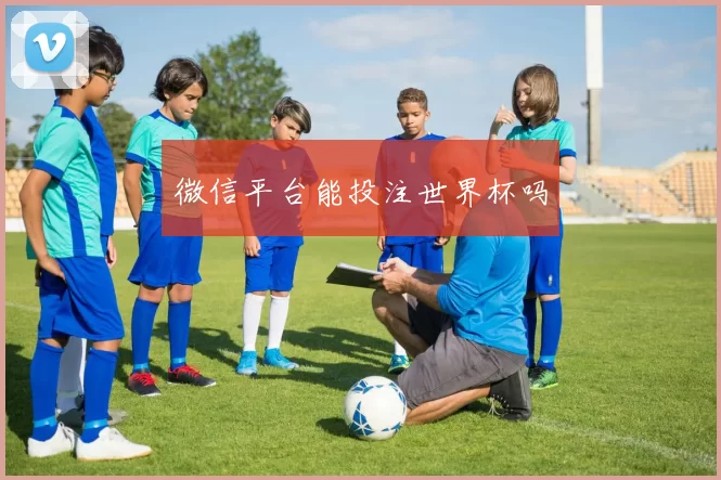 微信平台能投注世界杯吗