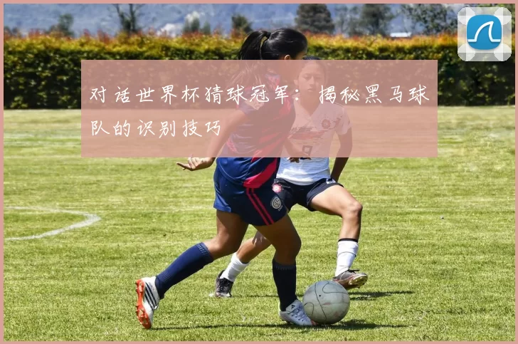 对话世界杯猜球冠军：揭秘黑马球队的识别技巧