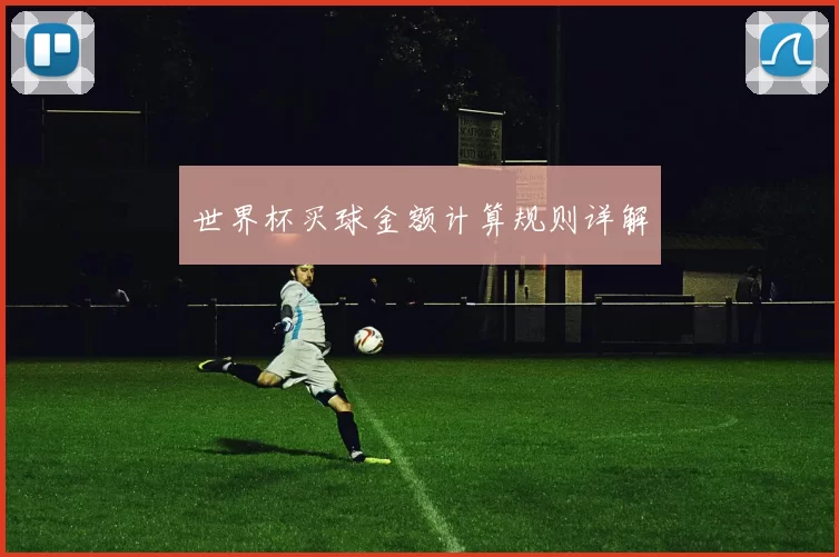 世界杯买球金额计算规则详解