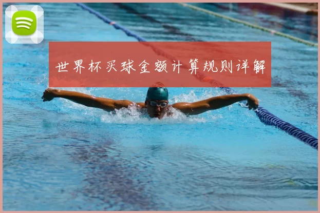 世界杯买球金额计算规则详解