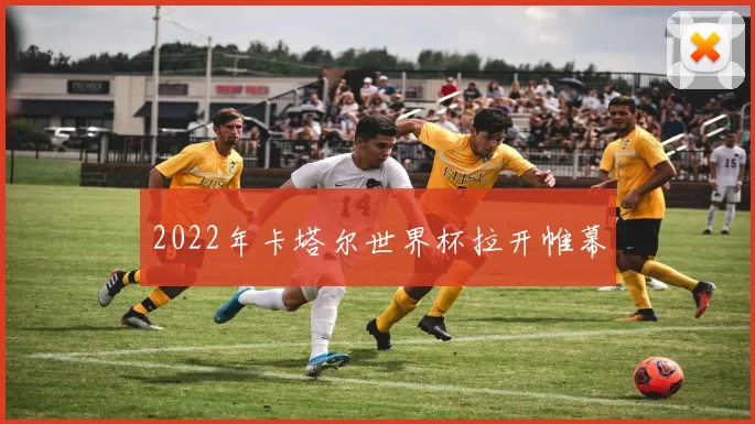 2022年卡塔尔世界杯拉开帷幕