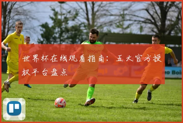 世界杯在线观看指南:五大官方授权平台盘点