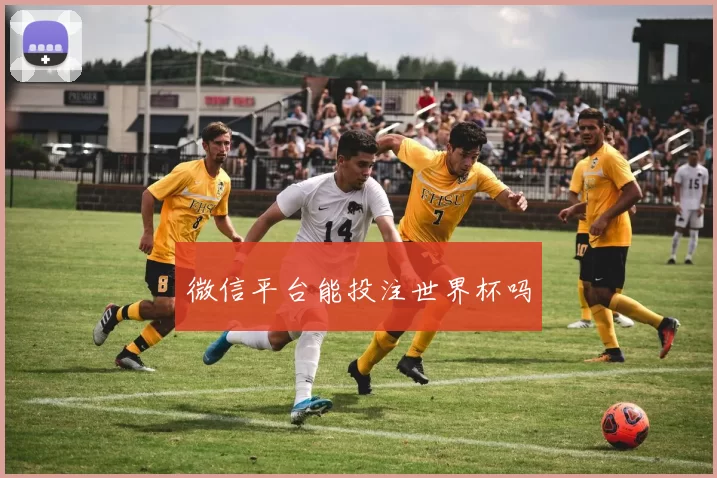 微信平台能投注世界杯吗