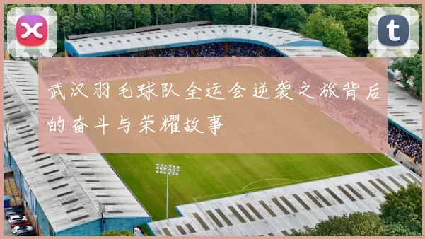 武汉羽毛球队全运会逆袭之旅背后的奋斗与荣耀故事